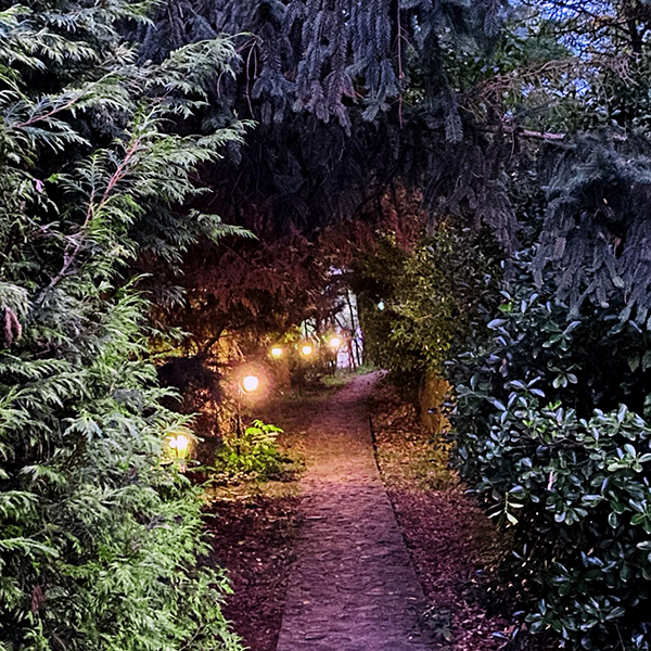 Tunel romantičnih zagonetki