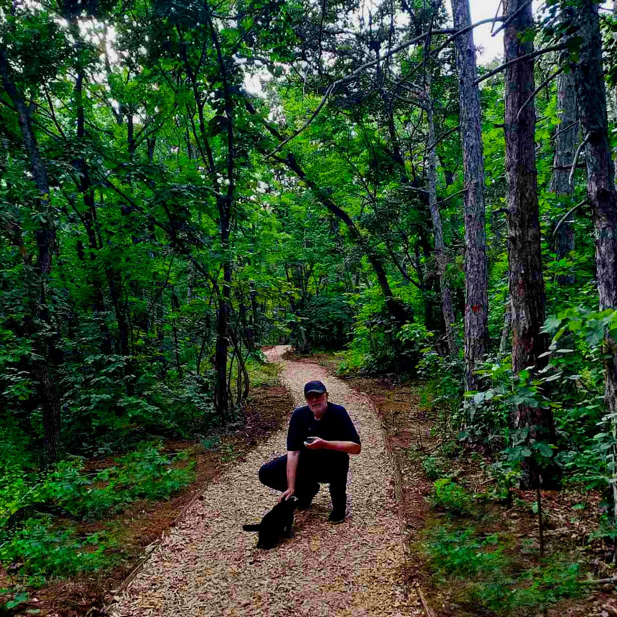 Brvnara u krošnji drveća Fruške gore